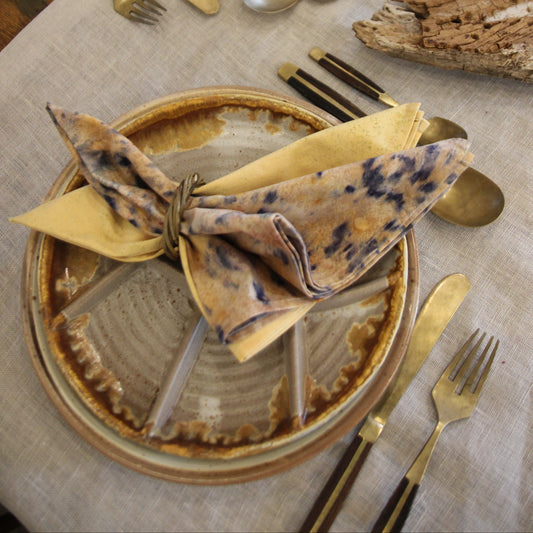 Serviette de table_ensemble de 4