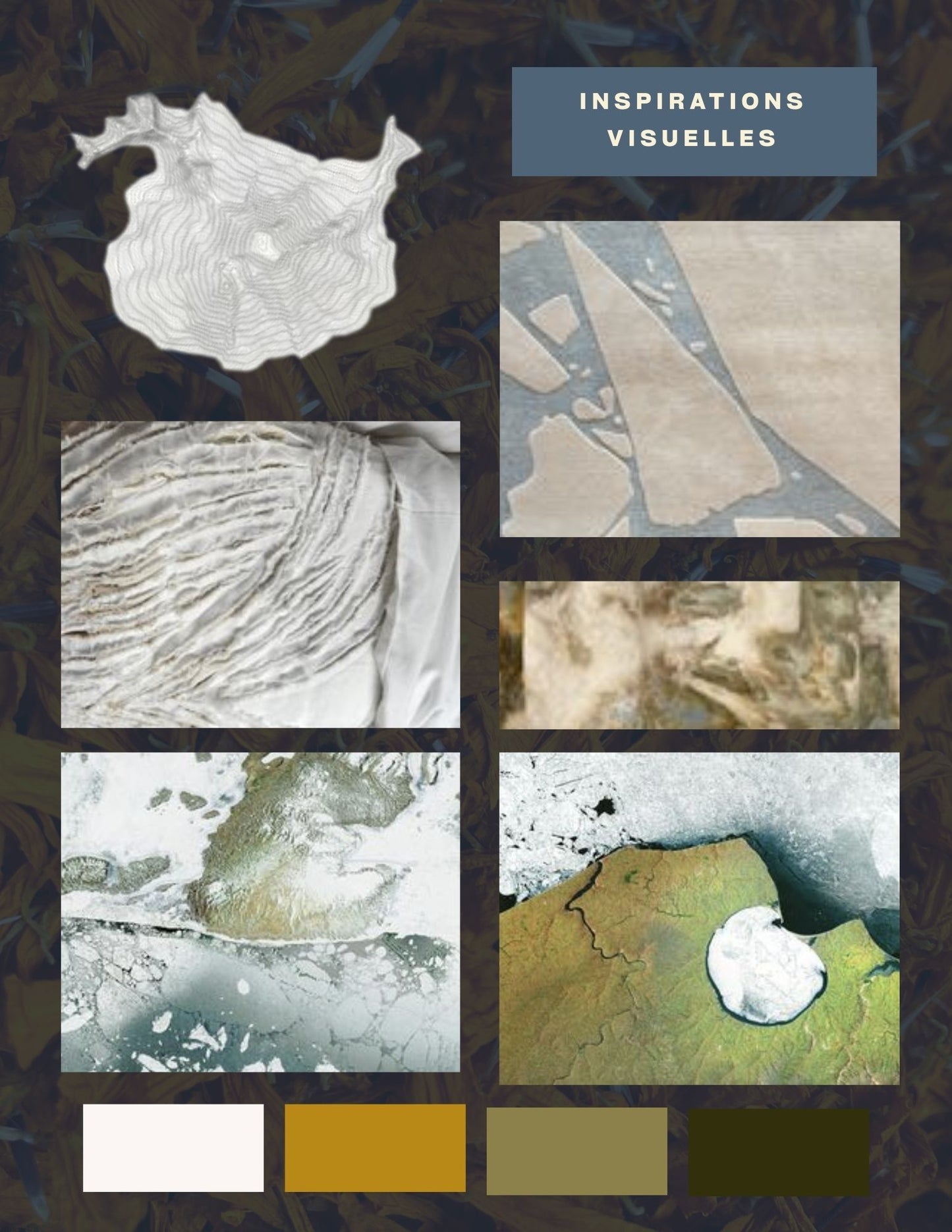 Bain de teinture textile végétale mensuel - FÉVRIER