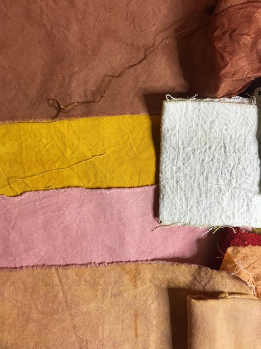 Pourquoi choisir la teinture et impression textile végétale et naturelle