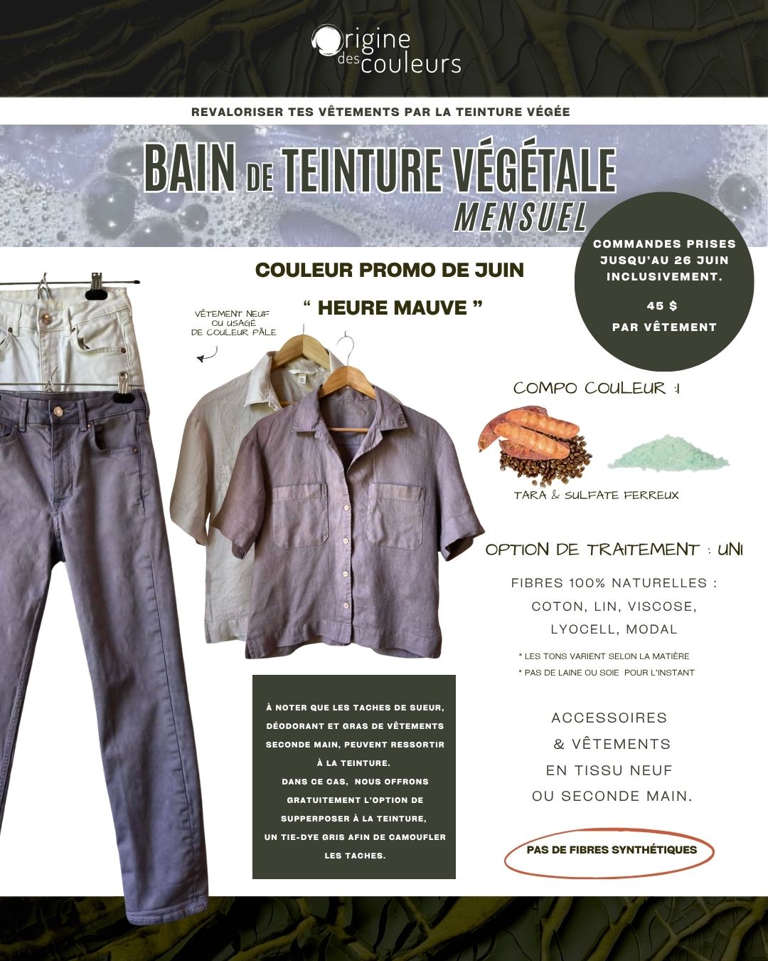Bain de teinture végétale mensuel _ JUIN