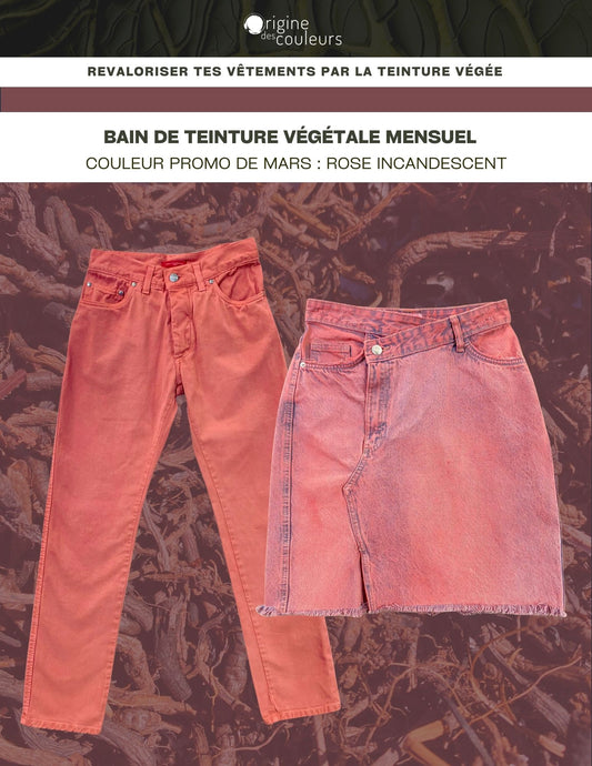 Bain de teinture textile végétale mensuel - MARS