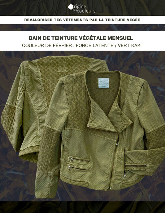 Bain de teinture textile végétale mensuel - FÉVRIER