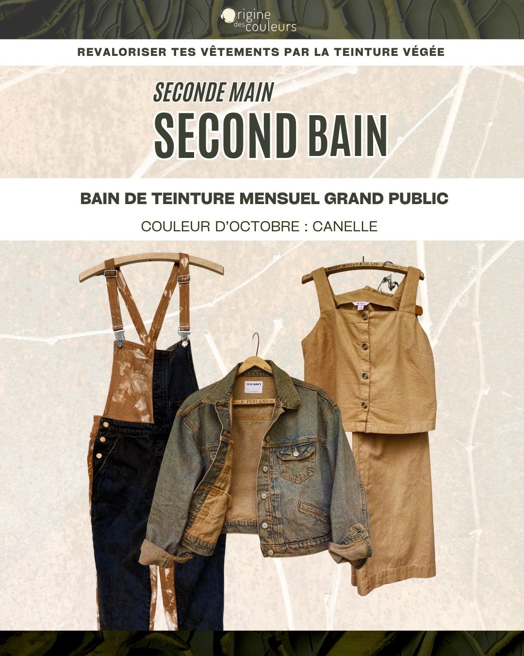 Bain mensuel de teinture textile végétale : Octobre / Cannelle