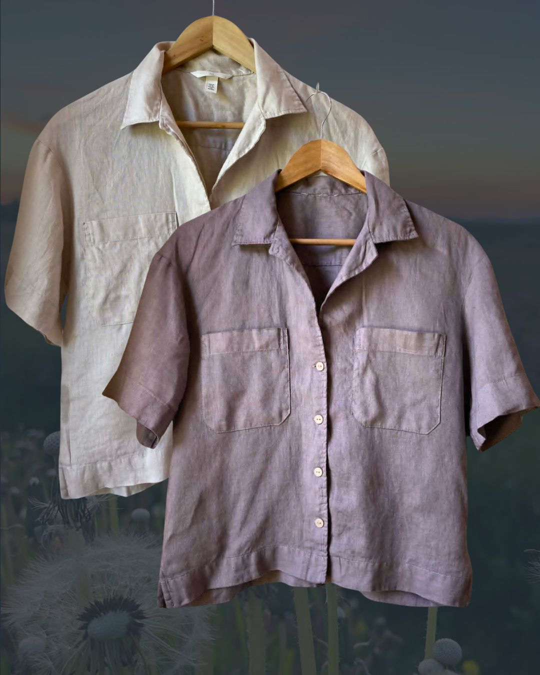 Teindre soi-même ses vêtements par la teinture textile végétale : COULEUR "HEURE MAUVE"