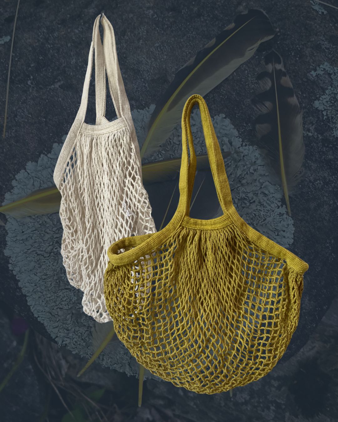 Bain de teinture végétale mensuel _ JUILLET
