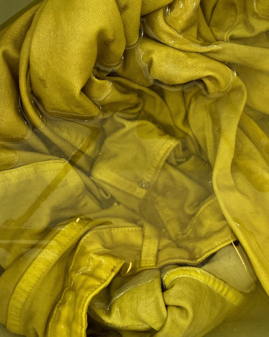 Bain de teinture végétale mensuel _ JUILLET