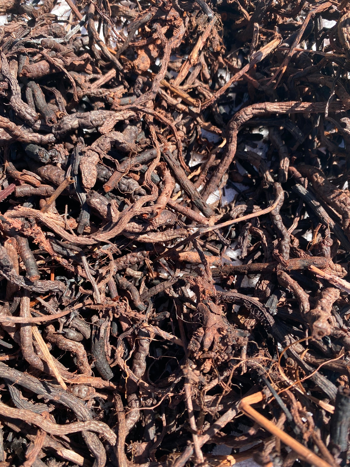 Bain de teinture textile végétale mensuel - MARS