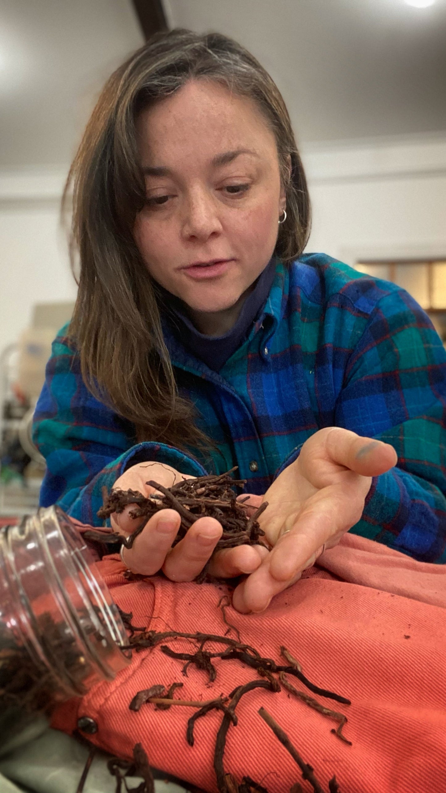 Revaloriser soi-même ses vêtements par la teinture textile végétale : ROSE INCANDESCENT
