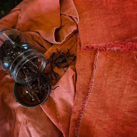 Atelier : teins ton vêtement avec la couleur végétale du mois de mars : ROSE INCANDESCENT / RACINE DE GARANCE